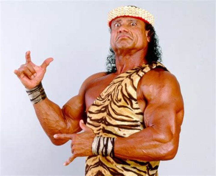 
How Much Money Does Jimmy Snuka Make? Latest Income Salary
