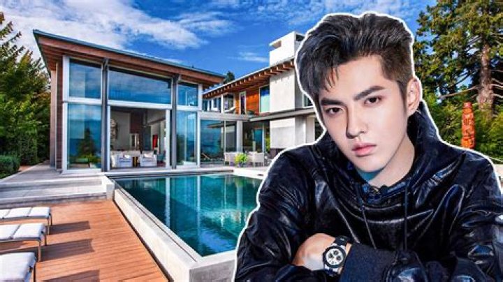 
How Much Money Does Kris Wu Make? Latest Income Salary
