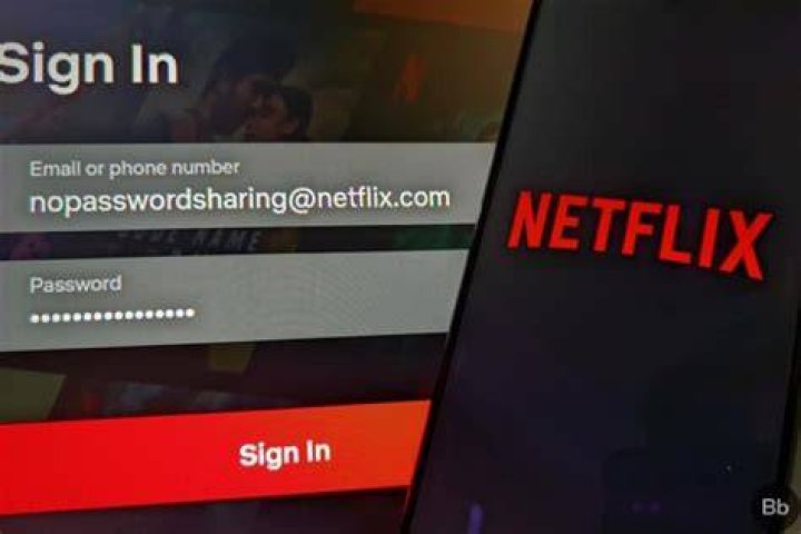 Netflix password sharing USA: How much it will cost you?